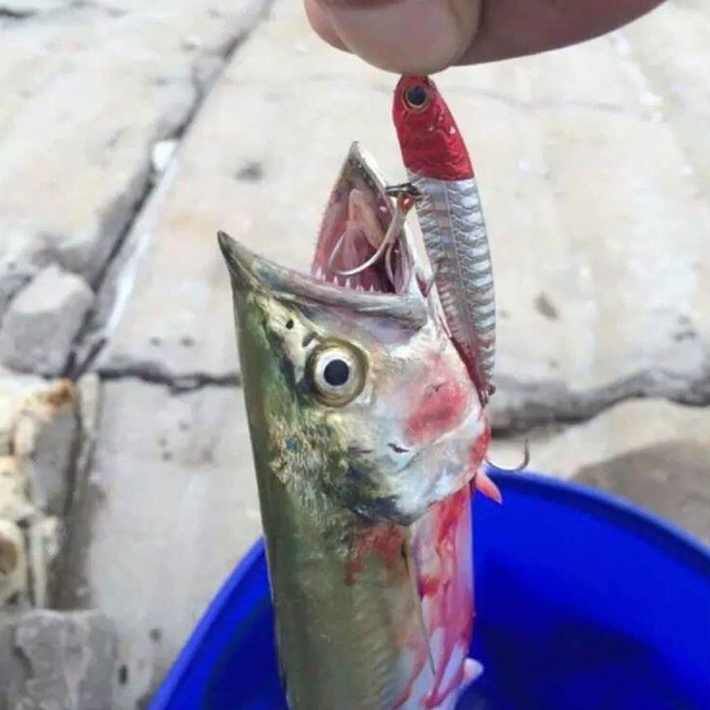 OLARAK 100 adet Tiz Kanca 4X G - Fishing Hook Assortment incelemesi ve fiyatı
