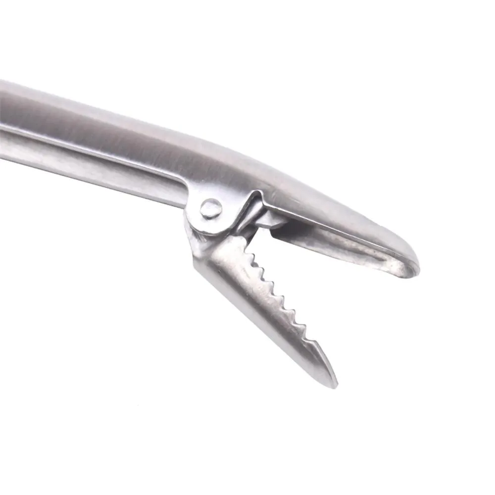 SANLIKE paslanmaz çelik balıkç - Fishing Hook Stainless Steel incelemesi ve fiyatı